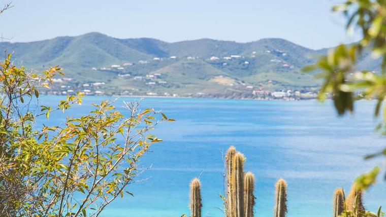 St. Croix’s green hills and hillside homes seen across turquoise water, framed by cactus and trees