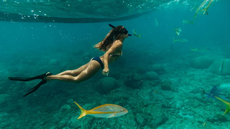 A snorkeler swimming over the reef at Buck Island with a yellowtail snapper below