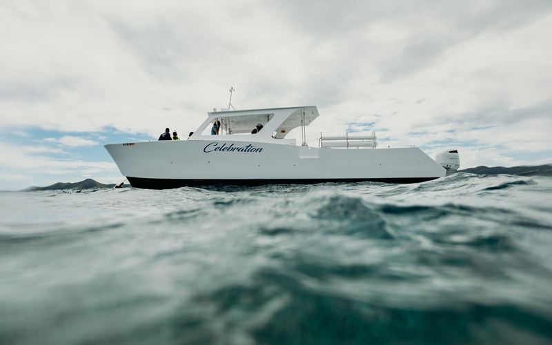 Celebration power catamaran under way off St. Croix