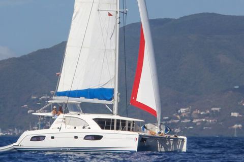Inconceivable private sailing catamaran under sail