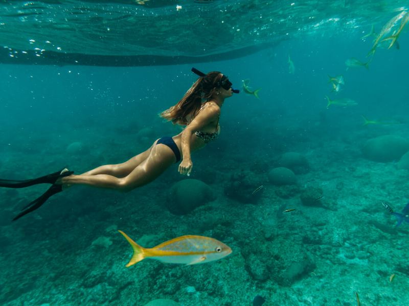 A snorkeler swimming over the reef with a yellowtail snapper at Buck Island
