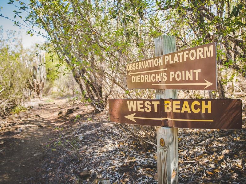 Trail signs for the observation platform and West Beach on Buck Island