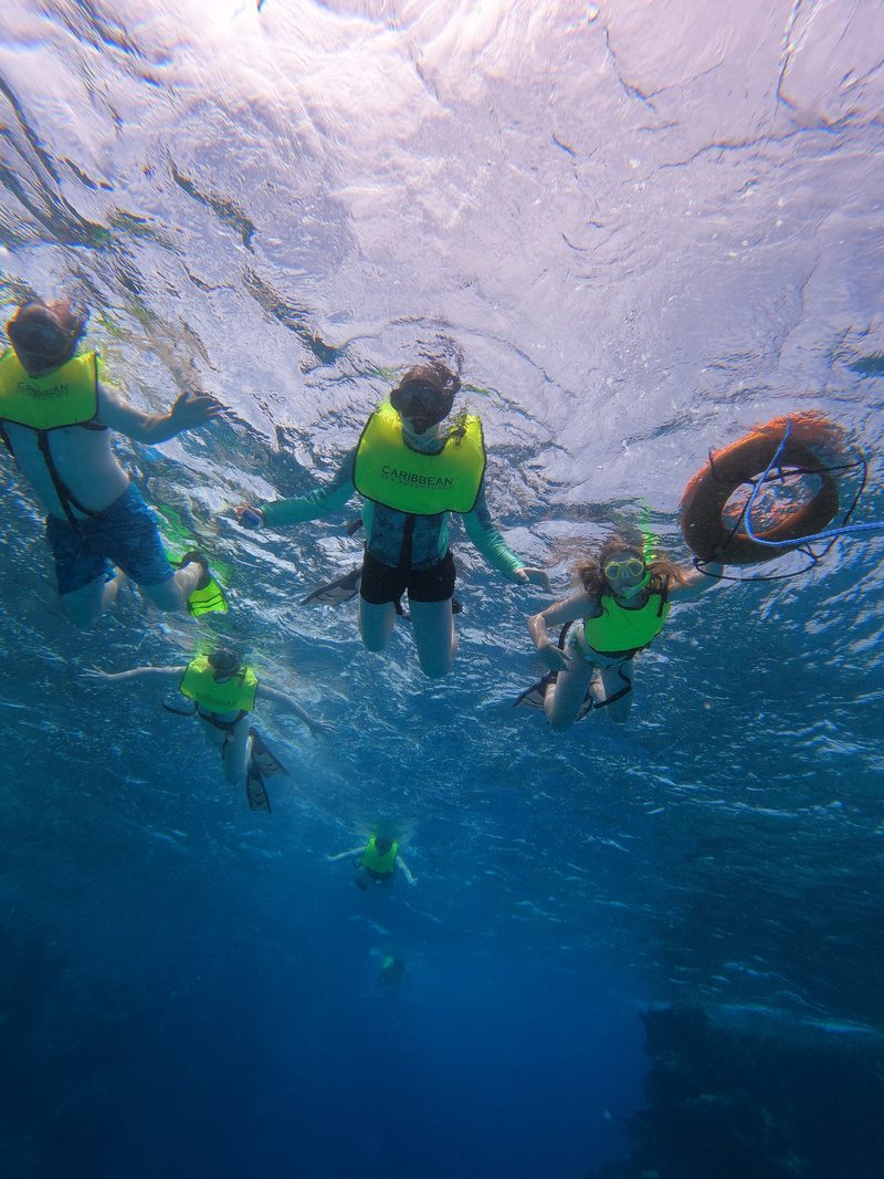 Caribbean Sea Adventures guests snorkeling at Buck Island Reef