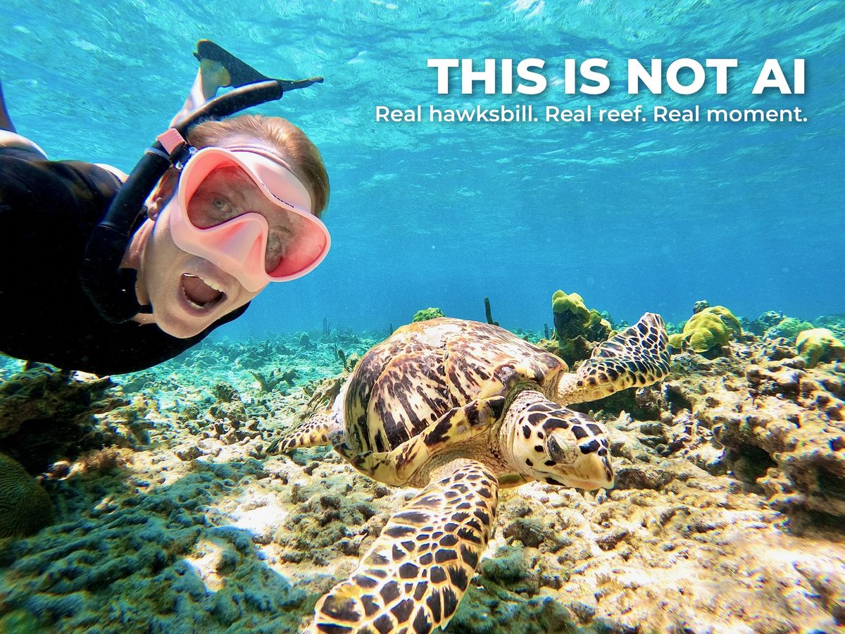 Real snorkel selfie with a hawksbill sea turtle on the reef at Buck Island, St. Croix, not AI